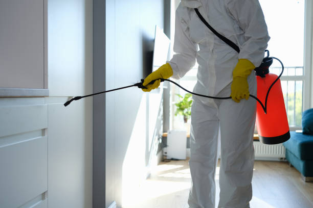 Best Certified Mold Removal  in Llender, CA
